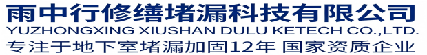 静海雨中行堵漏工程有限公司